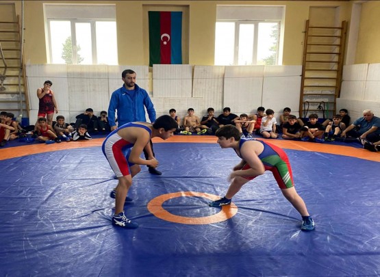 Sərbəst güləşçilər Masallıda rayon turnirində bir araya gəliblər